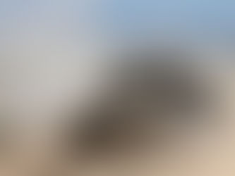 Trump apuesta a preservar el cese del fuego en Gaza y presiona a Netanyahu para evitar los enfrentamientos con Hamas