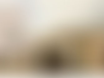 Los límites legales de una nueva asamblea nacional constituyente: lo que sí y lo que no podría modificarse