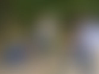 Una historia de amor en Bastidas: vecinos se unen para alimentar a animales callejeros.