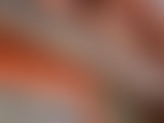 Petro acusó a la Corte Constitucional de sabotear la reforma pensional: “El egoísmo social está destruyendo los derechos”