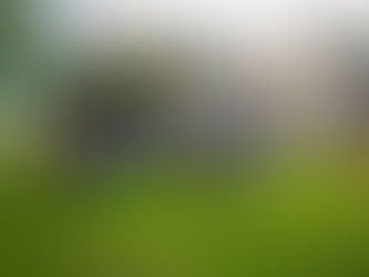 Unimagdalena hace un llamado al Congreso para aprobar la reforma a la Ley 30.