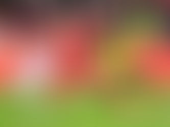 Bayern Múnich vs. Brujas de Bélgica: hora y dónde ver a Luis Díaz en la ‘Champions League’