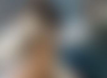 Presidente de El Salvador busca ayuda para atender a miles de perros y gatos callejeros del país.