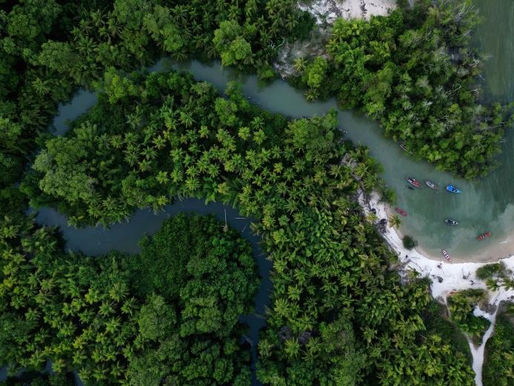 En vísperas de las negociaciones climáticas de la ONU en Brasil, se hace un llamado a menos palabras y más acción.