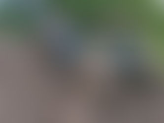 Comunidades rurales del Magdalena claman al Gobierno Nacional por inversión en vías terciarias.