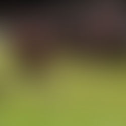 A BAKER'S DOZEN UPS AND DOWNS FOR PHILLIPSBURG'S CHAMPIONSHIP FOOTBALL TEAM