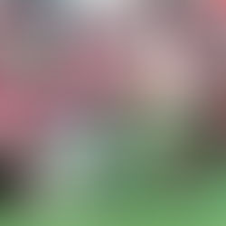 ZGODA SELECTED TO USA TODAY ALL-NEW JERSEY DEFENSE