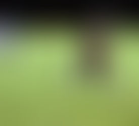 9 LIFETIME MEMORIES FROM PHILLIPSBURG FOOTBALL'S SENIOR NIGHT TRIUMPH