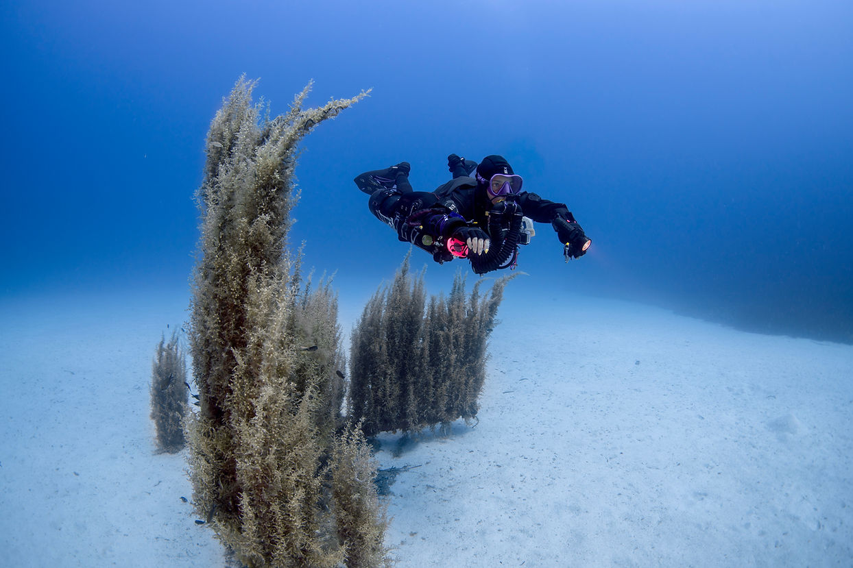 KAR06321-Edit 3 copy.jpg