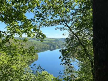 Summer 2026 Newsletter 
