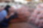 DSC01613.JPG