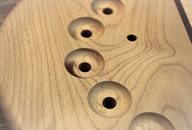 Fretless One-120_edited.jpg
