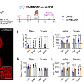 Publication alert!!!