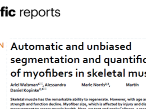 Our paper is finally published!