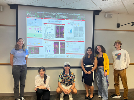 Celeste Cifuentes wraps up a successful SURF fellowship with the lab!