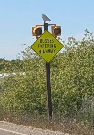 Highway sign with misspelling of the phrase "Buses Entering Highway"