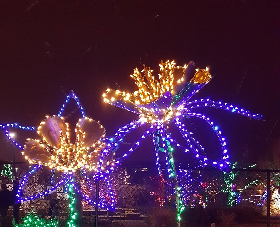 Columbine_Lights_Garden_of_Lights_2018_resized_edited_edited