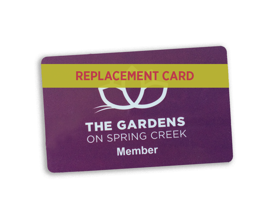 Replacement Member Card