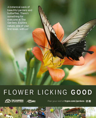 winter 2021 ad ideas_Page_3.jpg