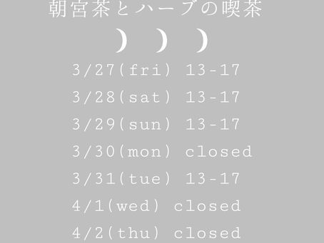 朝宮茶とハーブの喫茶
