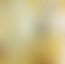 Covid-19: Spiritual light for a world in siege