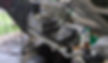 4035_edited.jpg