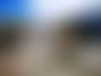 JARDINES DEL MUNICIPIO