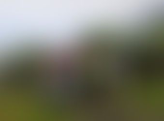 SENDERISMO EN FAMILIA