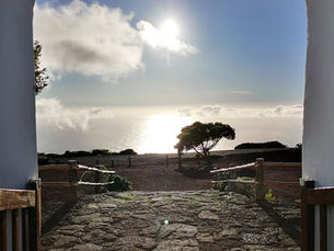 El cinismo de los sabios,  por Mª Elena Moreno.