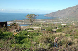 SUELO INDUSTRIAL DE FRONTERA