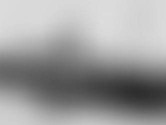 SENADO.-EL CORREÍLLO LA PALMA