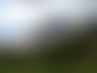 ENTRENAMIENTOS Y COMPETICIONES