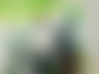 Inmigración en El Hierro