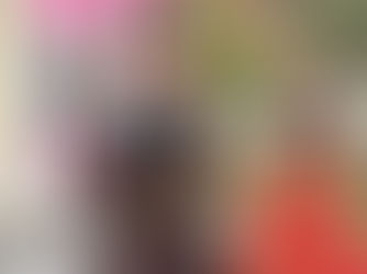 CONCURSOS DEL CARNAVAL 2022