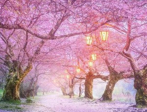 ATRASO NÓMINAS GUARDIAS CIVILES DE TRÁFICO