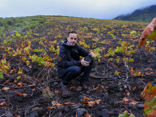 DAVID FORER «MASTER OF WINE»