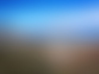 ADORMECIMIENTO INSTITUCIONAL