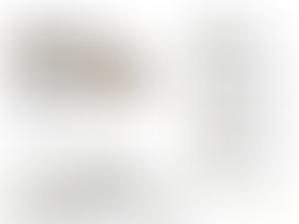 VISITA DE LA RECTORA