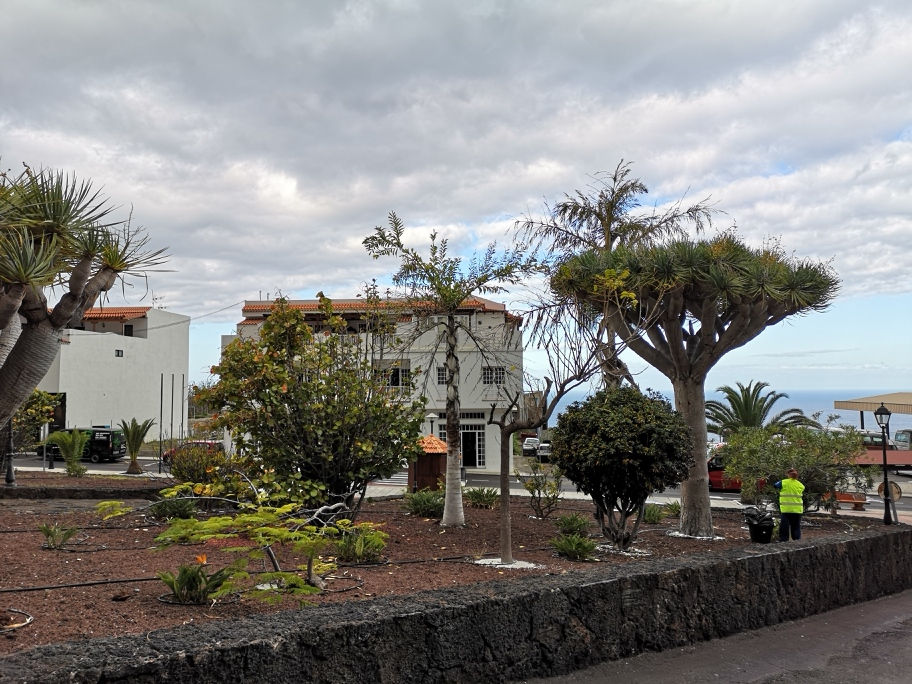 LA FRONTERA ABRE EL PLAZO DE SOLICITUD: PLAN EXTRAORDINARIO DE EMPLEO SOCIAL