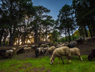 NARVAY QUINTERO URGE AL GOBIERNO