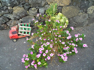 DIOS NO TIENE VACACIONES por María Elena Moreno