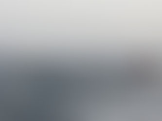 FIESTAS DEL CARMEN 2019