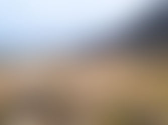 LA FRONTERA PIDE AL GOBIERNO