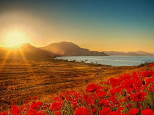 NAVIDADES, LA ESTRELLA EN EL CORAZÓN por Mª Elena Moreno
