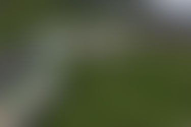 PARQUE NACIONAL MARINO A DEBATE