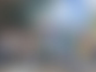 ELECCIONES EUROPEAS, CANDIDATO