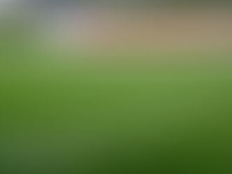 MANTENIMIENTO DE CÉSPED