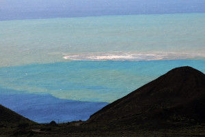 EL ESCRITOR Y CONFERENCIANTE JOAQUIN ARAUJO INFORMA