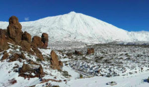 LA NAVIDAD DE LOS CANARIOS por Melvin Zamorano