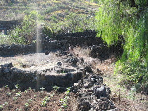 TODO AQUELLO QUE CAUSÉ LO TENDRÉ QUE REPARAR